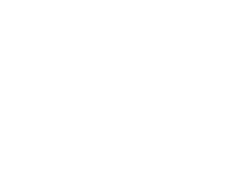 AI - Inteligencia Artificial